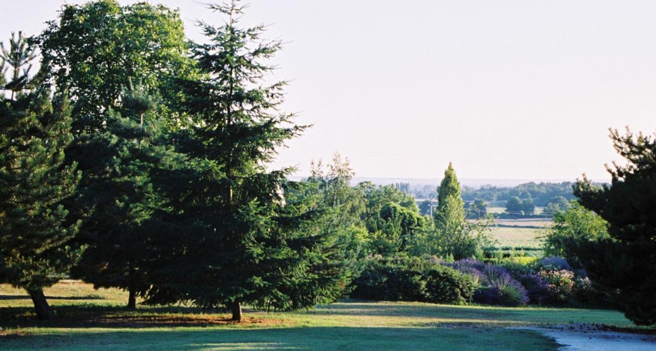 Le Logis Du Pressoir: 18th Century Loire Valley Retreat with Heated Pool Bed & Breakfast Les Bois-d'Anjou Exterior photo